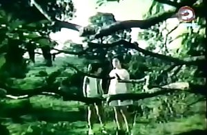 Darna together with rub-down the Giants (1973)