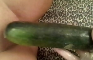 Enorme zucchina per un orgasmo REALE
