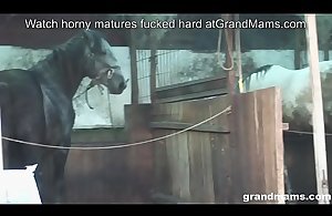 Old agriculturist wife takes a difficulty fast cock in a difficulty along to personal space horse-racing world